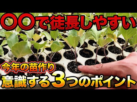 苗が成長しないのはなぜですか?それを修正するにはどうすればよいですか?  庭園