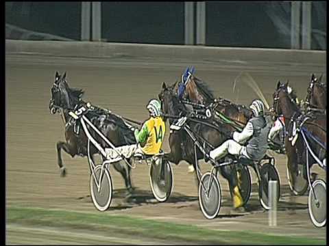 Trotto 11/11/2016 - 8ª corsa - TRIS