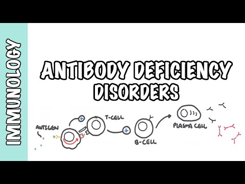 Primary Antibody Deficiency - Common Variable Immunodeficiency (CVID) , X-linked Agammaglobulinemia