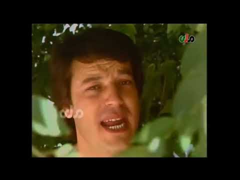 Wahid Saberi  : Del tangam ke megiryad shabana--  وحید صابری :  دل تنگم که میگیریه شبانه