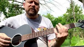 “Fleas” by NOFX acoustic cover