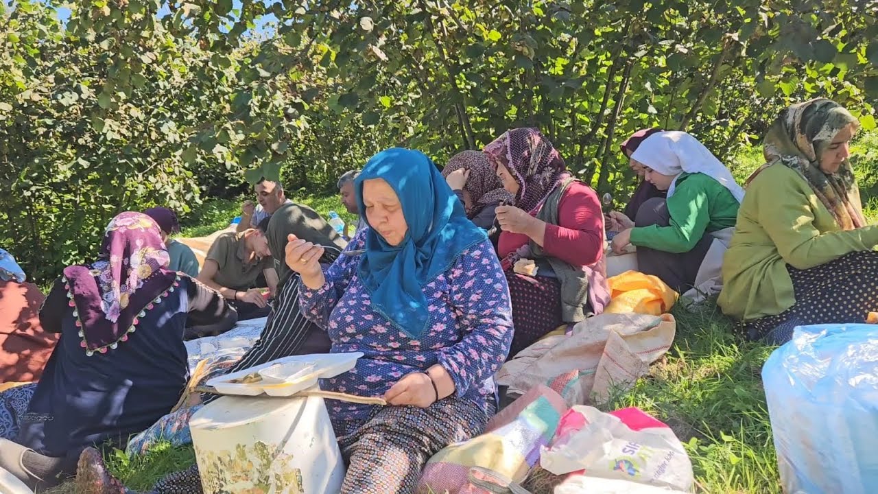 🌰 ÖĞLEN YEMEĞİ 🍽️ FINDIK MACERAMIZ 🌿 DEVAM EDİYOR 💪