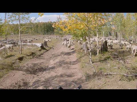 Utah Backcountry Discovery Route (BDR) Part 5 4k