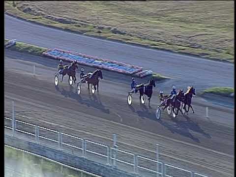 Trotto 30/06/2019 - 2ª prova di qualifica