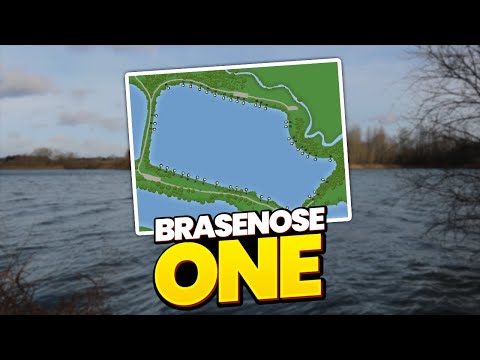 Solid Bag & Zig Fishing at Brasenose One | Zig Fishing Tips & Best Moments At B1 Linear Fisheries