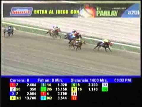 Resumen Sabado, 12 de Enero de 2013 - La Rinconada