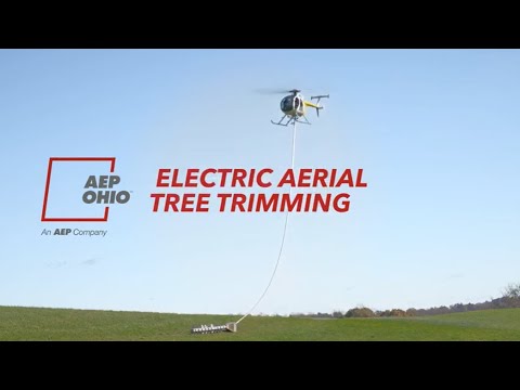 Electric Aerial Tree Trimming