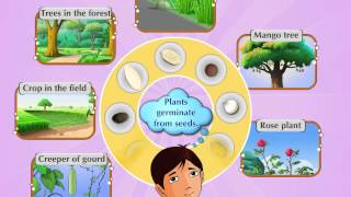 Standard 6 - Science - Chapter 1