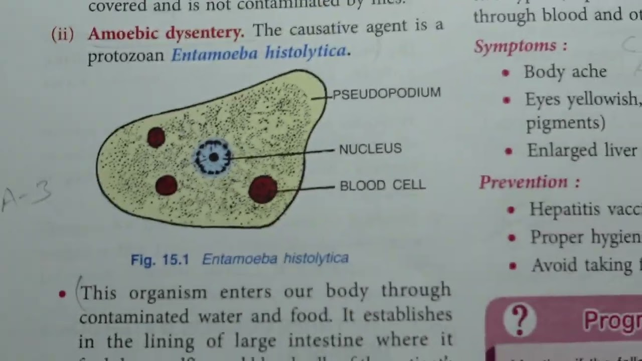 HYGIENE : A KEY TO HEALTHY LIFE CLASS 9 ICSE CHAPTER 15
