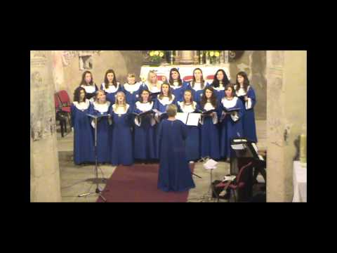 Zbor mladih župe Lobor - Ružo moja crvena