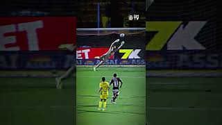 ALÔ ☎️ É DO IBAMA? 🤔 TO LIGANDO PRA REPORTAR 📥 O FALECIMENTO ☠️🪦🥀 DE UMA CORUJA 🦉 NO MAIÃO 🏟️