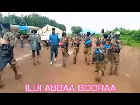 Sochii WBO Iluu Abbaa Booraa fulbaana,, 2022