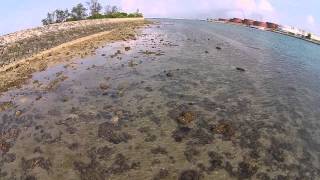 Pulau Hantu Aerial footage