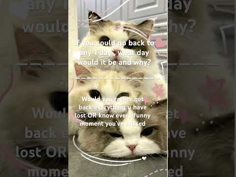 2 interesting questions. #question #cat #fyp #jozy_vamkitty