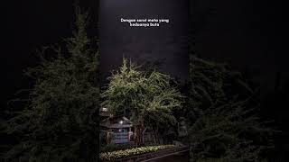 Download lagu story WhatsApp babeh Iwan fals '22 januari' mp3