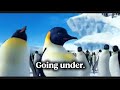Happy Feet Love Song For Gloria