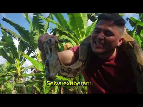 Ven a Visitar 📍Tena en la provincia de Napo. “Despierta tu espíritu aventurero". 💚