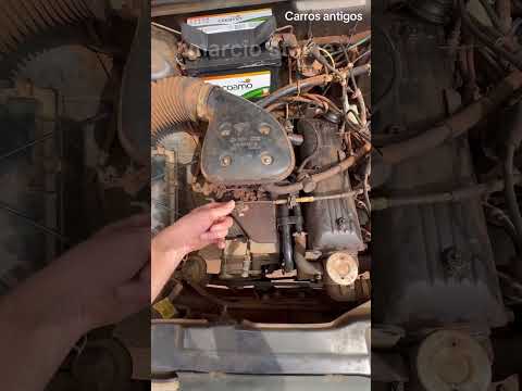 Pay close ATTENTION… If you don't see it now, you'll never see it again. #golquadrado #relic #ant...