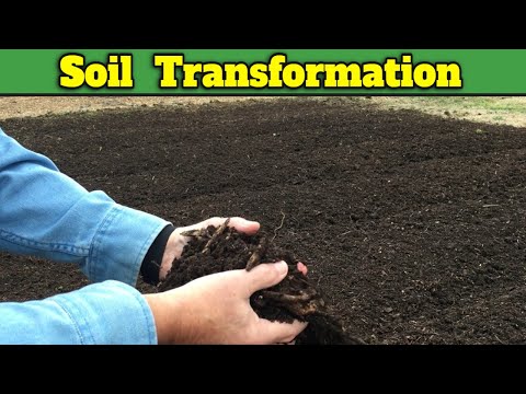 MAKE RICH GARDEN SOIL - I'LL SHOW YOU HOW
