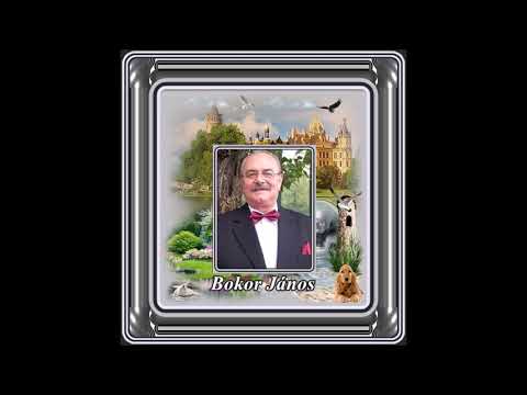 Bokor jános : Az eke (az ökör) a földet nem magának szántja