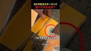 カビの生えたチーズって食べても大丈夫