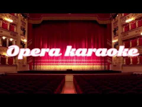 Opera karaoke  Udite, udite, o rustici—L'elisir d'amore