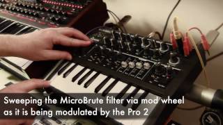 DSI Pro 2 - Arturia MicroBrute - Moog Voyager - Eventide H9 : Performance Setup