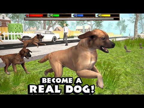 Ultimate Dog Simulator (by Gluten Free Games) - Part 1 - Android Gameplay [HD] - YouTube