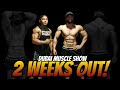 2 WEEKS OUT! DUBAI MUSCLE SHOW | PUSH - PULL WORKOUT & POSING.