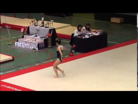 Zone FFG Equipes - DF.