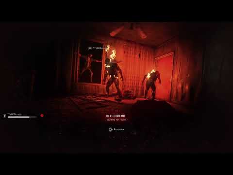 Dying Light: The Beast_20251101145607