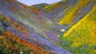 Keith Anderson - Pickin Wildflowers