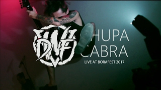 Download lagu #Minilive Dead With Falera - Chupacabra live at Borafest 2017 (IFI, Bandung) mp3