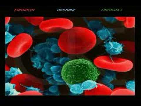 Gonix - "Dziewczyński S.T.R.E.S"