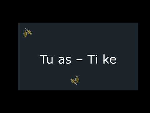 Folja "Kam" në Frëngjisht|La verbe "Avoir"