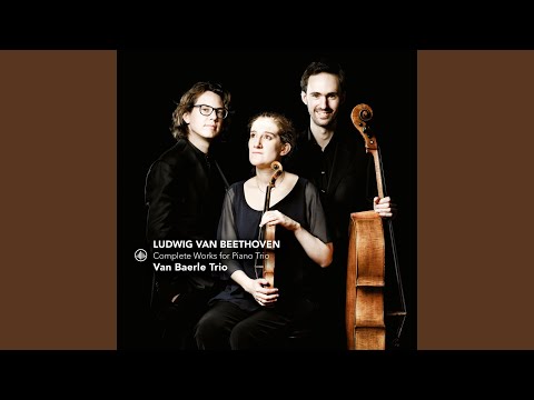 Piano Trio in C Minor Op. 1, No. 3: II. Andante cantabile con Variazioni