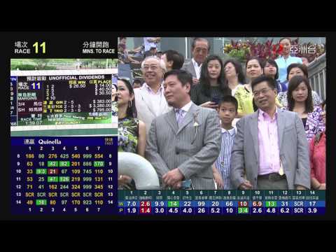 旗幟鮮明 (P104) 韋達 12/06/2013