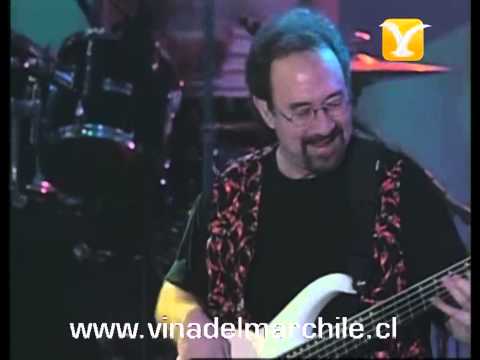 Creedence Clearwater Revisited, Down On The Corner, Festival de Viña 1999