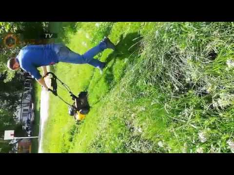 Газонокосилка аккумуляторная DeWALT DCMW564P2 - мощный и удобный помощник Газонокосилка аккумуляторная DeWALT DCMW564P2 - мощный и удобный помощник