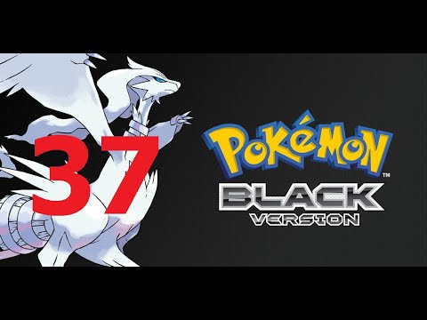 Der zweite Reihumkampf | Pokémon Schwarz #037