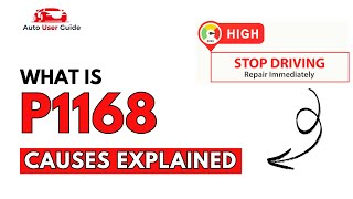 Interpretação p1168 BMW
