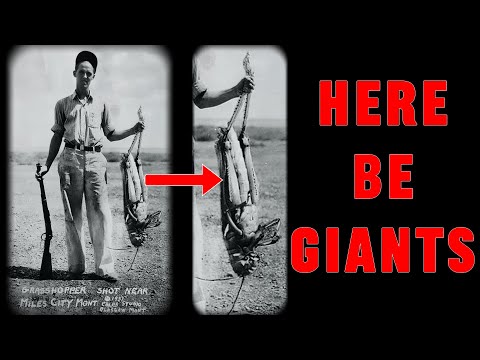 The Great Human Downsizing: Why There Are 20-Foot Doorways