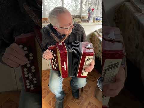 New button accordion ORLENOK, 1/2 accordion, Children's accordion, 80 bass, Bayan for beginners