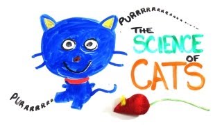 The Science of Cats