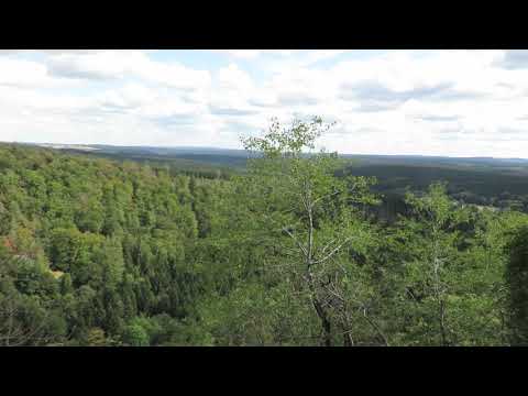 Stempelstelle 20 Barenberg - Harzer Wandernadel