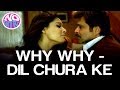 Dil Chura Ke No Entry Bipasha Basu Anil Kapoor Alisha Chinai Anu Malik