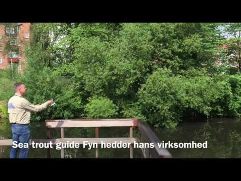Lystfisker tips i Odense
