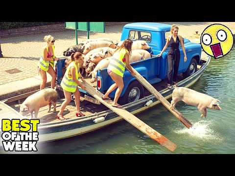 TRY NOT TO LAUGH #78😂 | Best Fails of The Week | Instant Regret Fails Compilation 2026