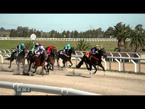 LP 200921 c08 CARDIU