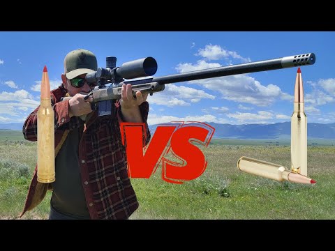 300 Win Mag vs 300 PRC | Which is Better?
